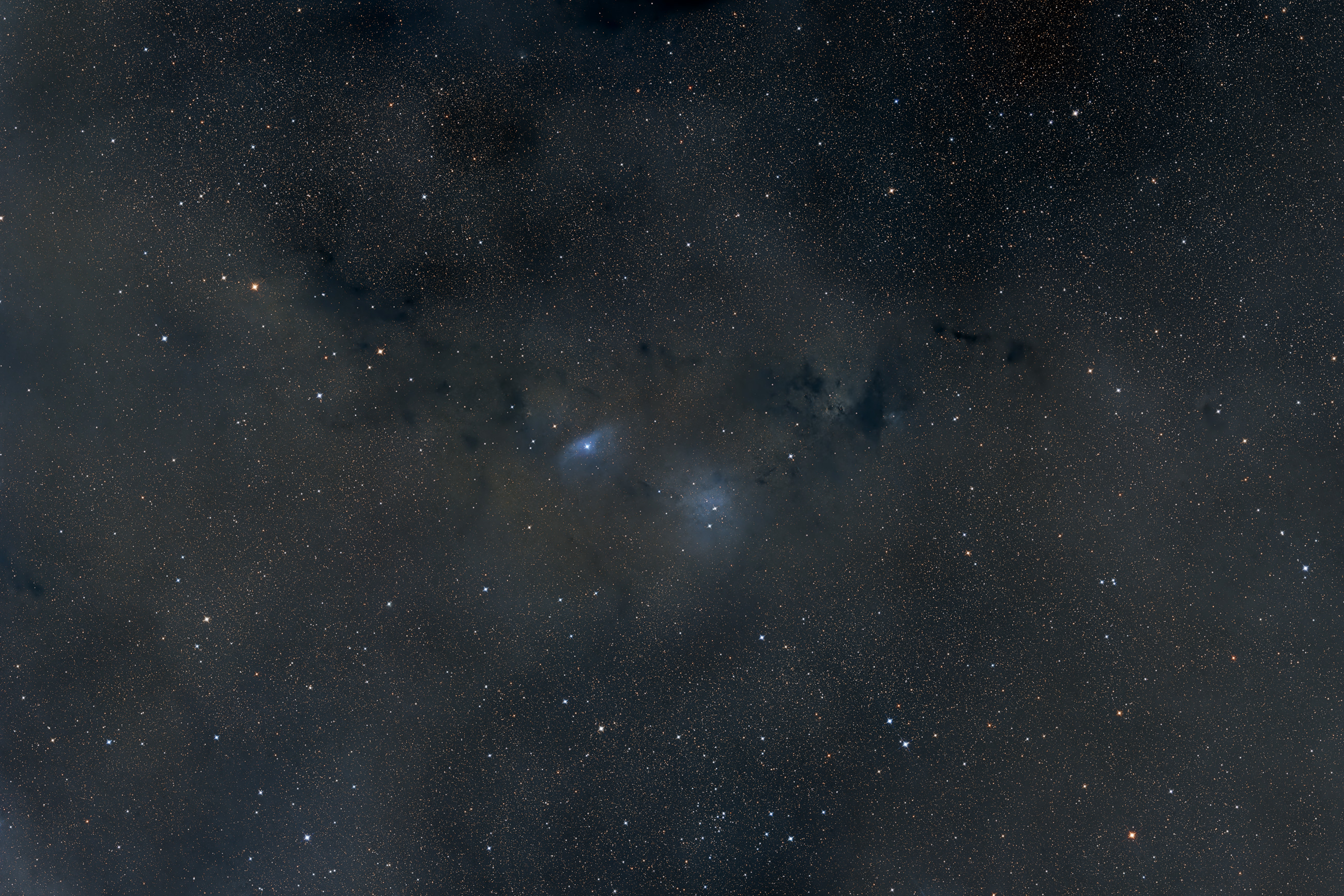 Van den Bergh 126 and van den Bergh 134 are 2 blue reflection nebulae in the constellation of Vulpecula, surrounded by numerous dark nebulae, in the arrangement of which the silhouette of Nessie can be seen.